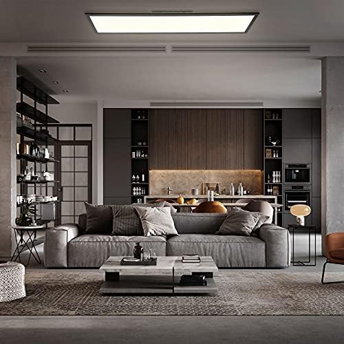  B.K.Licht Panel LED 1 metro para techo regulable con control de temperatura de color y temporizador
| B.K.Licht Plafon 